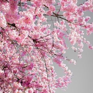 Meet your Posher, Alejandra